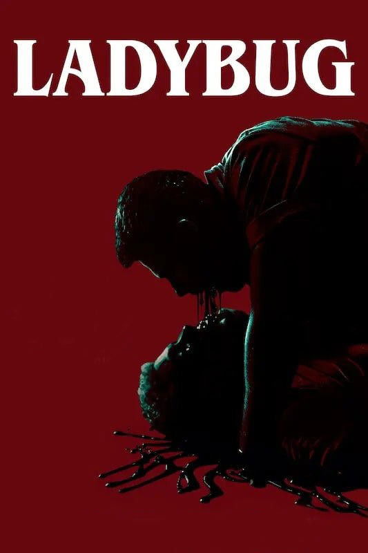 Божья коровка